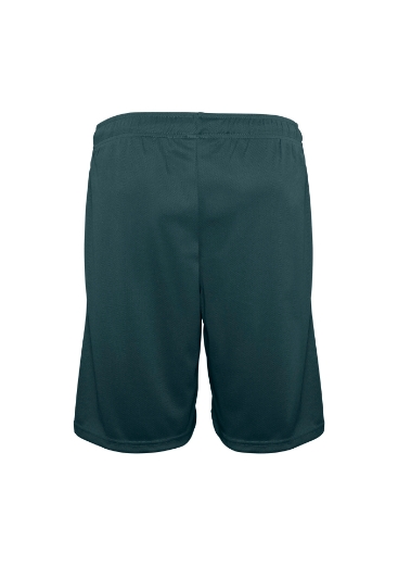 Picture of Biz Collection, BIZ COOL™ Mens Shorts
