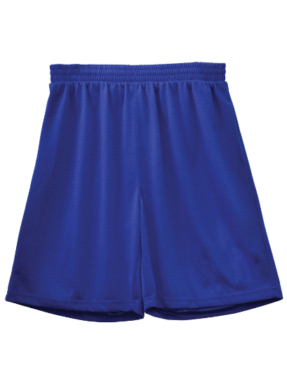 Picture of Winning Spirit, Kids Basketball Shorts
