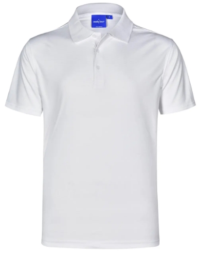 Picture of Winning Spirit, Mens Cooldry Textured Polo