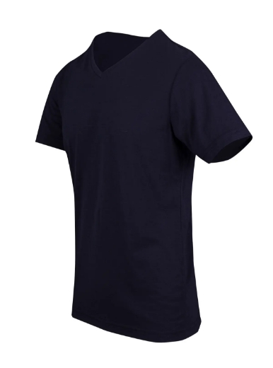 Picture of RAMO, Mens V-Neck Tee