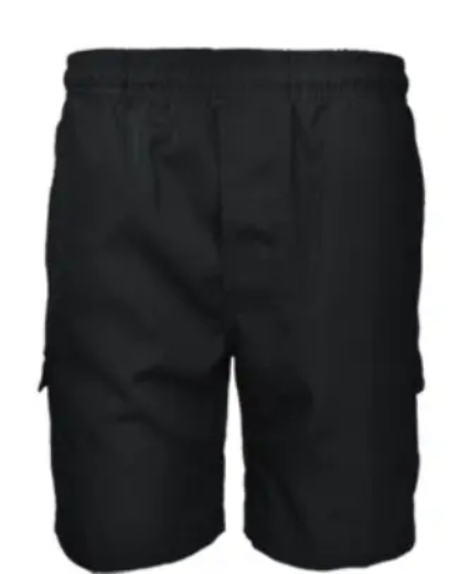 Picture of Bocini, Boys School Cargo Shorts