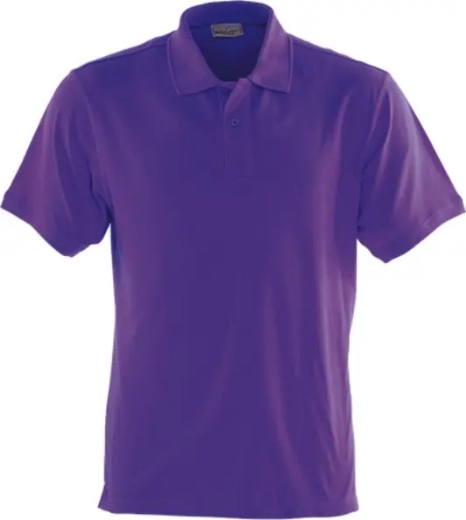 Picture of Bocini, Classic Polo-Mens