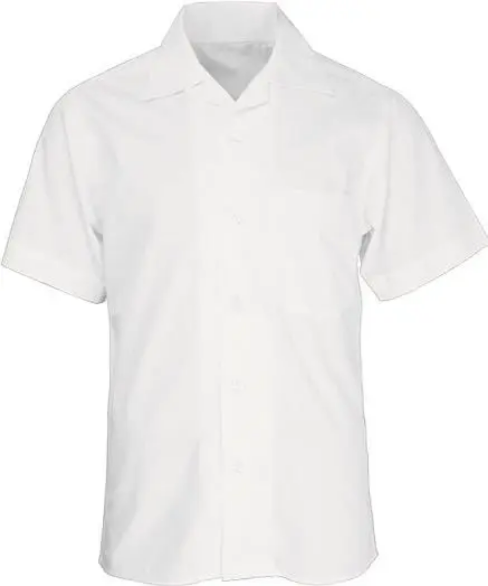 Picture of Bocini, S/S School Shirt
