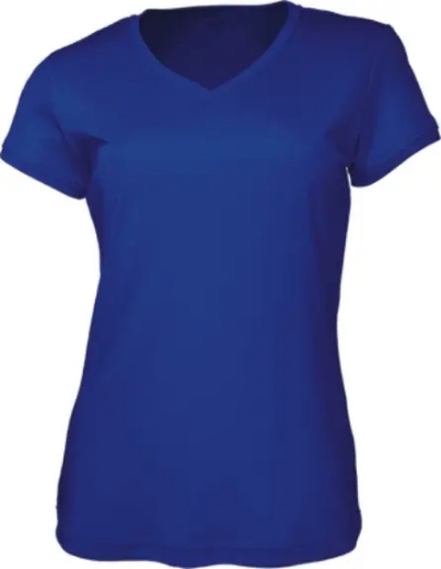 Picture of Bocini, Ladies Vee Neck Tee Shirt