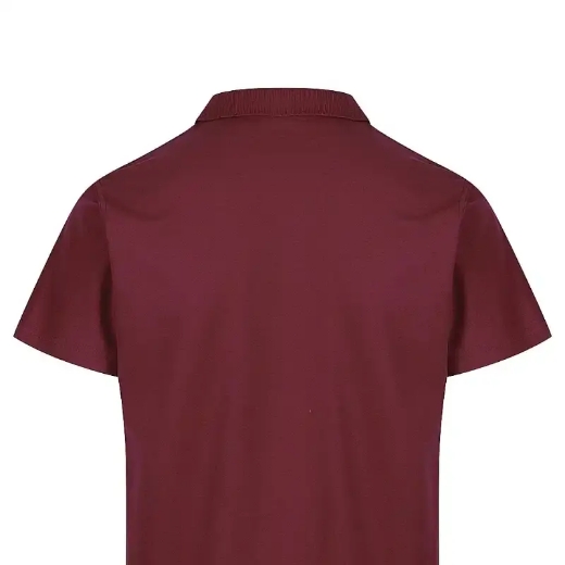 Picture of Aussie Pacific, Mens Hunter Polo 