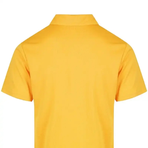 Picture of Aussie Pacific, Mens Botany Polo 