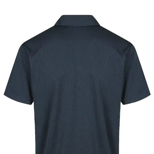 Picture of Aussie Pacific, Mens Botany Polo 