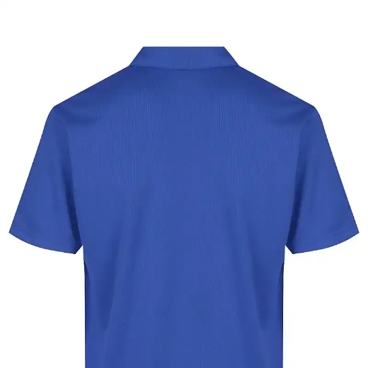 Picture of Aussie Pacific, Mens Botany Polo 