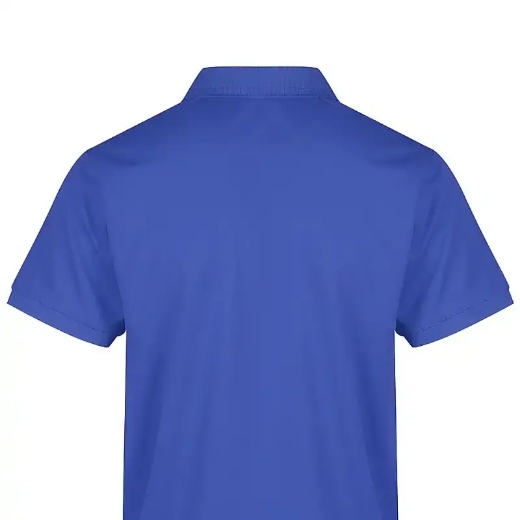 Picture of Aussie Pacific, Mens Lachlan Polo 