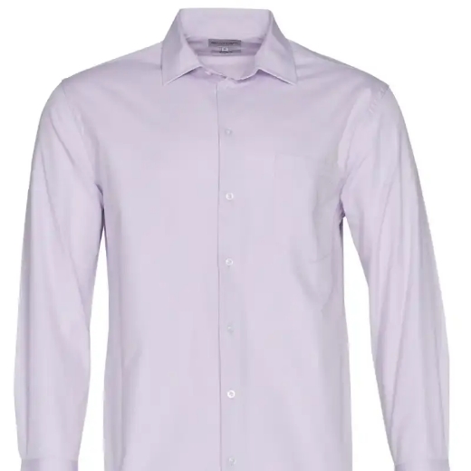 Picture of Winning Spirit, Mens CVC Oxford L/S Shirt