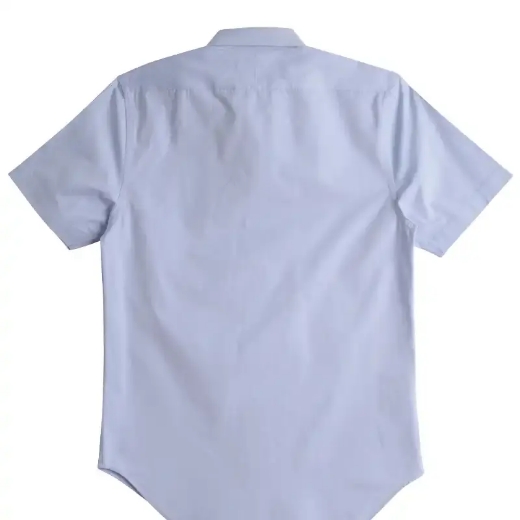 Picture of Winning Spirit, Mens CVC Oxford S/S Shirt