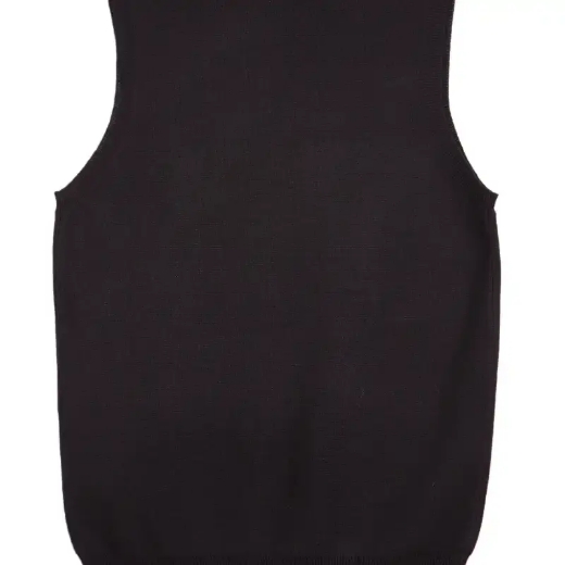 Picture of Winning Spirit, Ladies V-Neck Vest