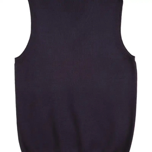 Picture of Winning Spirit, Ladies V-Neck Vest