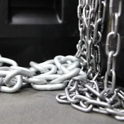 Picture of Beaver, Proof Coil Chain Regular Link